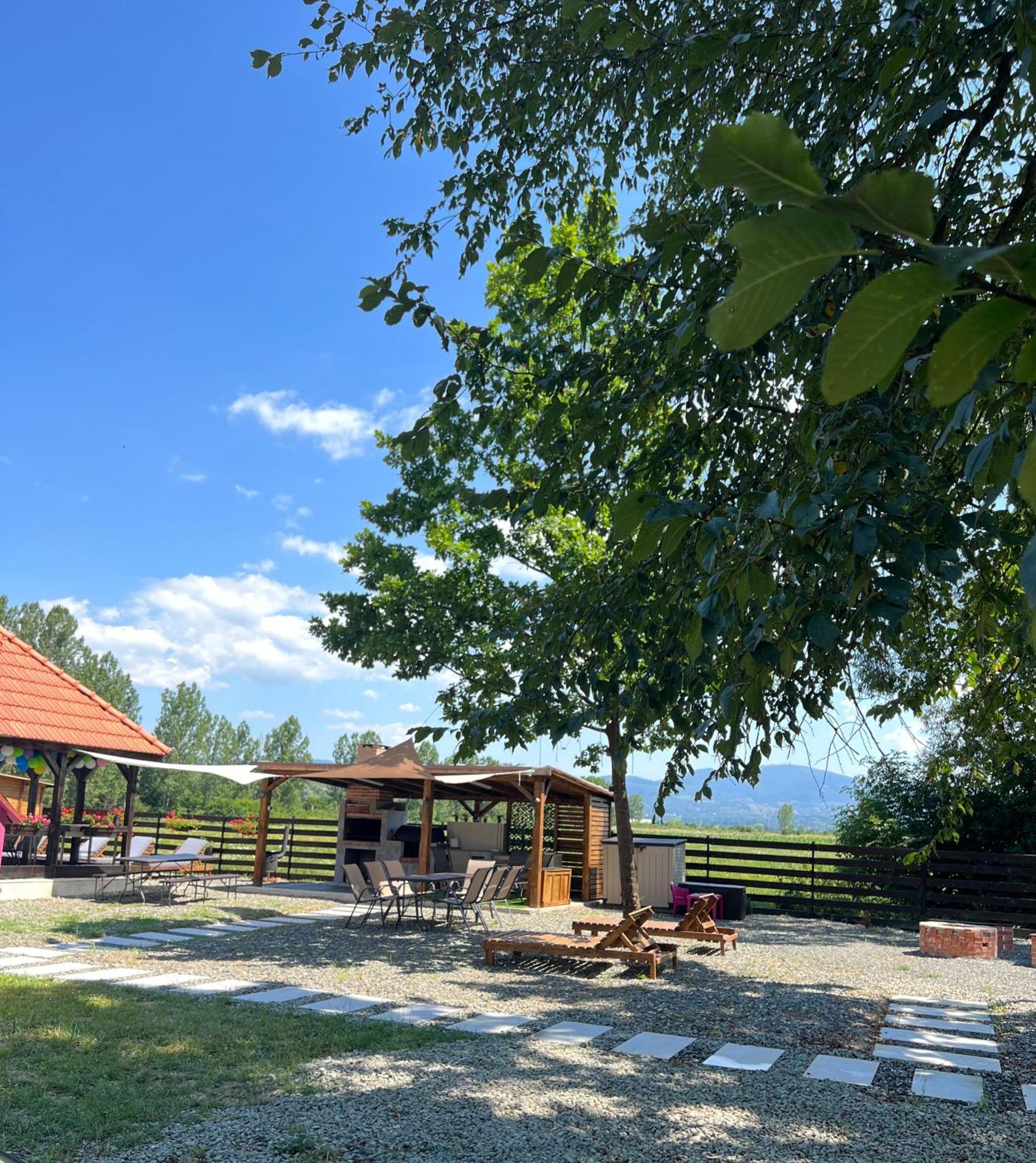 Casa Cu Flori Maramures Baia Mare Exterior foto